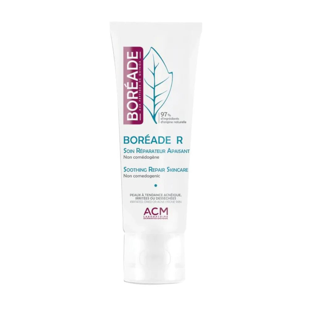 ACM Boreade R Sooting Repair