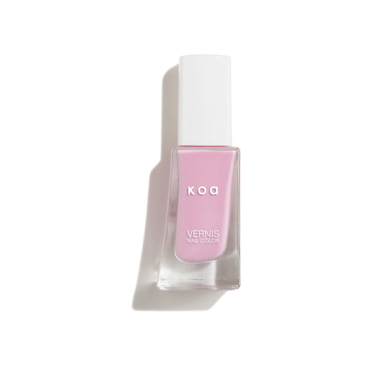 Koa Cosmetics Chicory 16