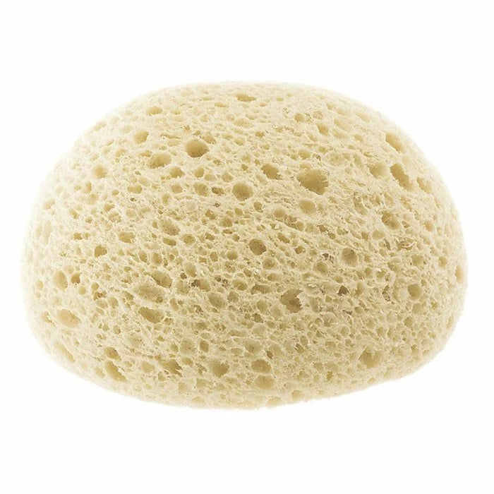 Chicco Extra-Absorbent Sponge 0M+