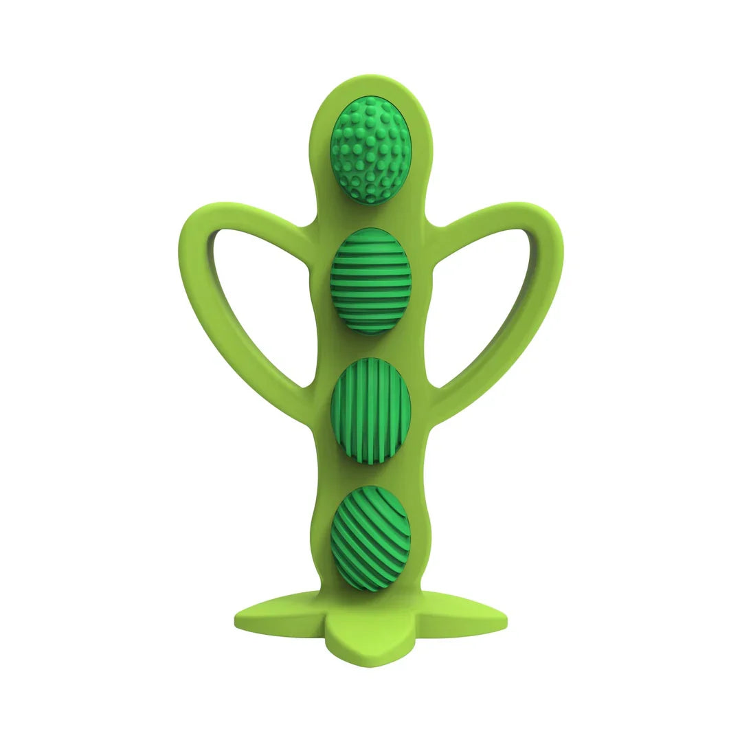Dr.Brown's Teether + Training Toothbrush 3M+